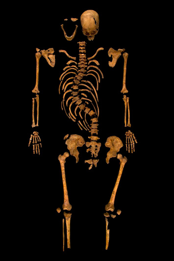 richard-iii-skeleton