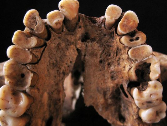 Moroccon Paleo-Teeth