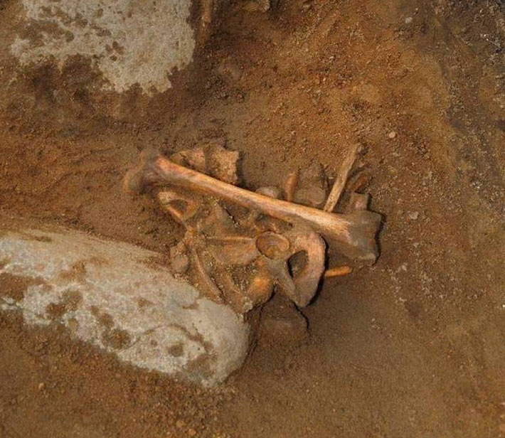 Newhaven Scotland Bronze Age Burials