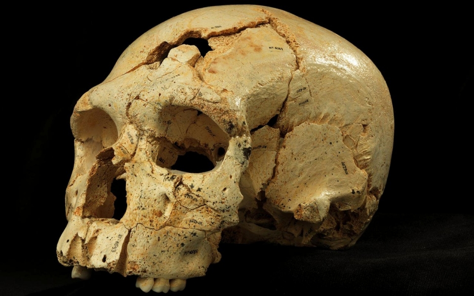 Atapuerca-Neanderthal-Skull