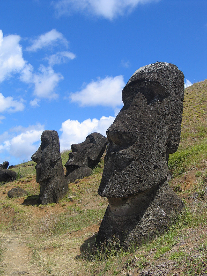 Easter-Island-Moa