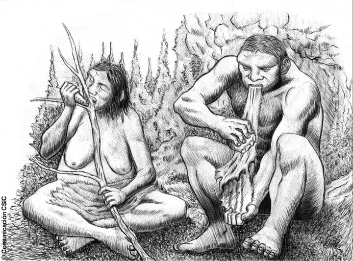 neanderthal-households-men-women-labor