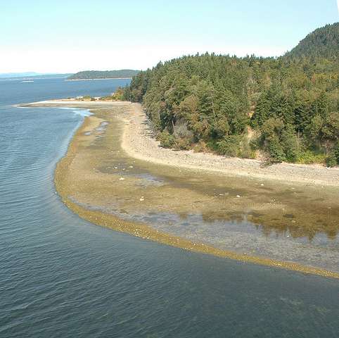 First Nations clam gardens