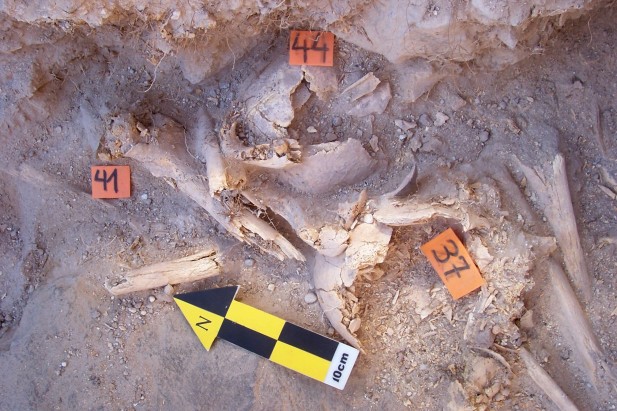 Peru Mummy Bones