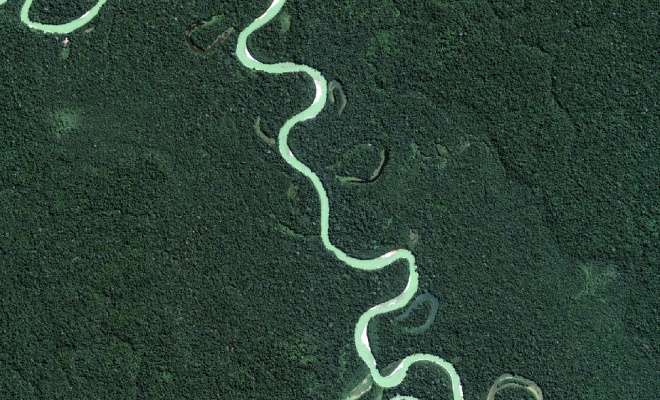 Amazon rainforst ecology