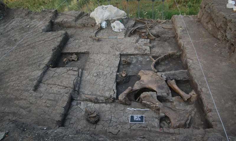 paleolithic butchered elephant greece marathousa jpg