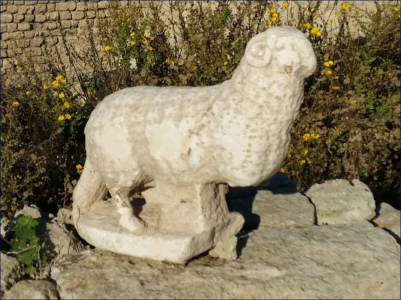 Caesarea ram statue