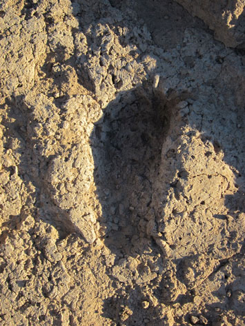 Southwest Footprint Arizona