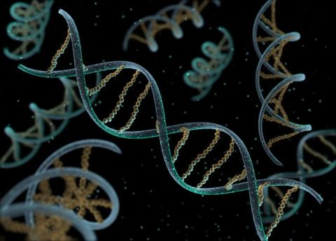 Ancient Viruses Modern DNA