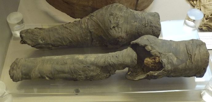 Nefertari mummified legs