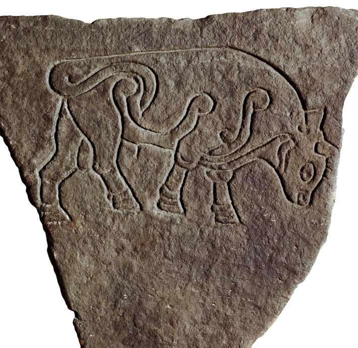 Scotland Bull Carving