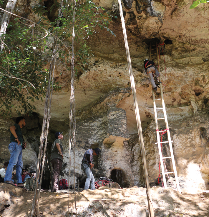 Digs Indonesia Cave
