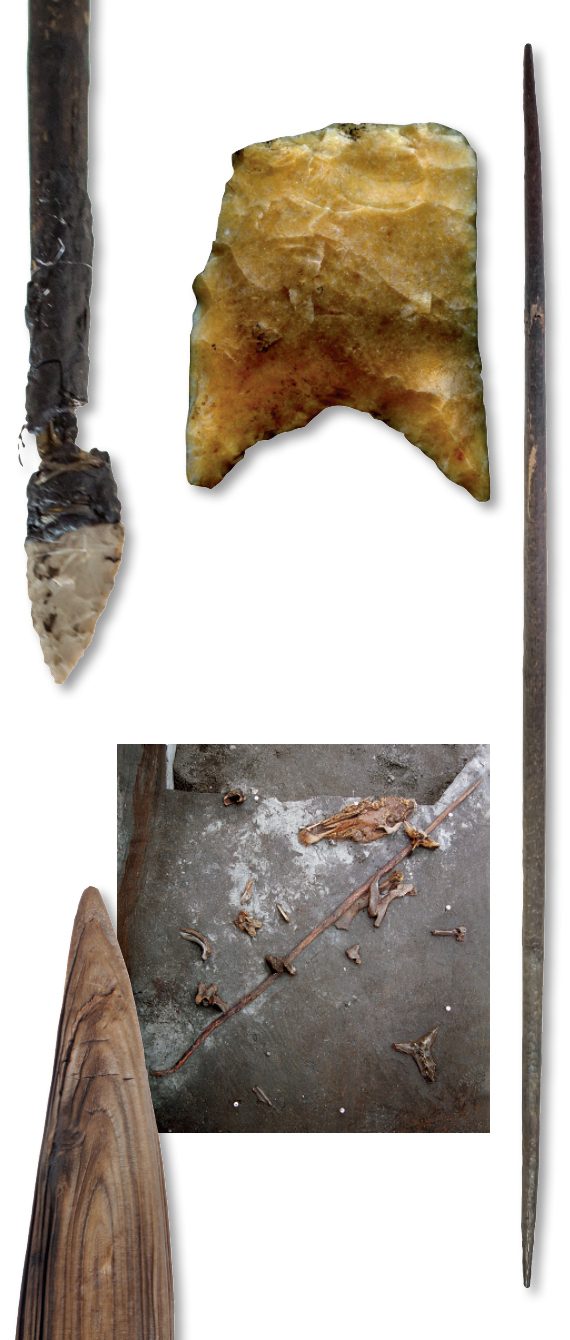 Hunting Equipment - Archaeology Magazine