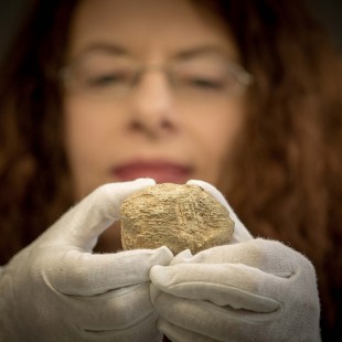 News - Ireland Inhabited 2,500 Years Earlier Than Previously Thought ...