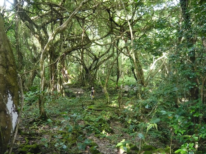 Peleliu WWII Airfield Present Day