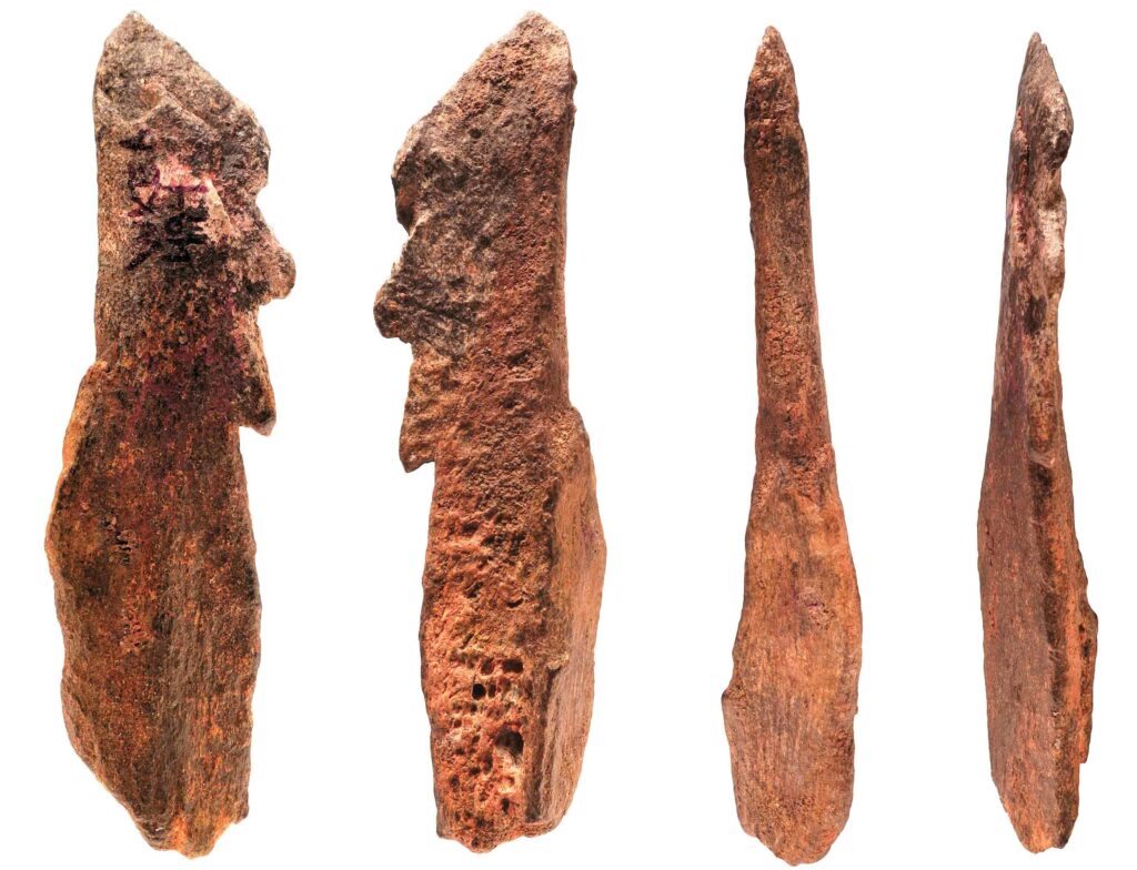 Digs & Discoveries - The Bone Toolkit - Archaeology Magazine - July ...