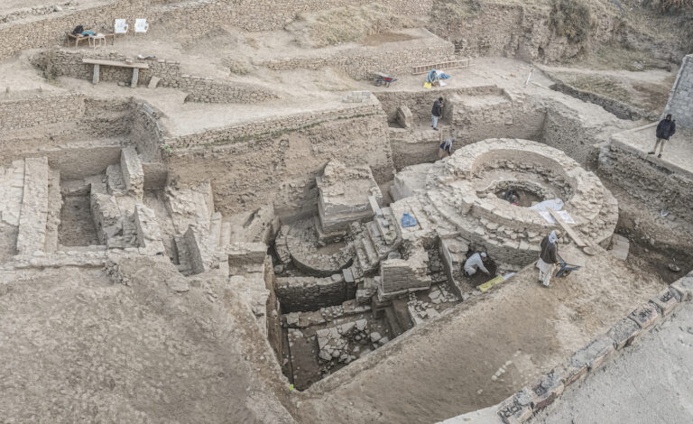 News - Conservation Work Reveals Ceiling of Egypt’s Temple of Esna ...