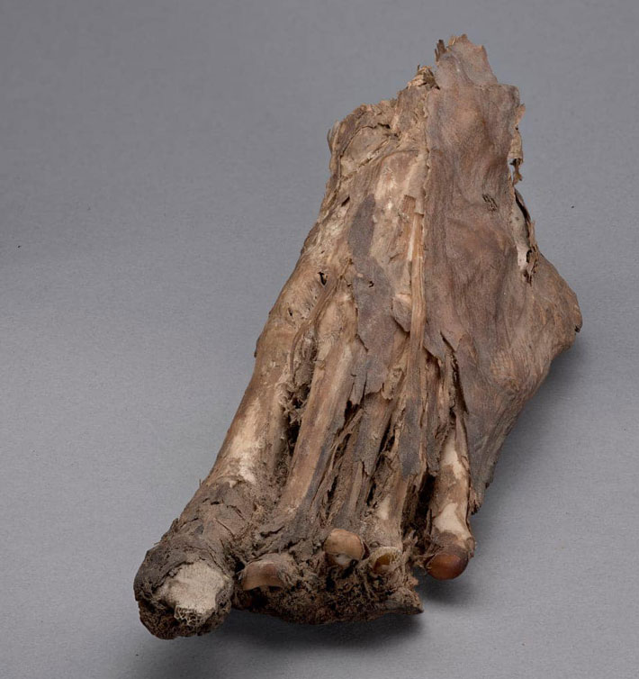 Egypt Mummy Foot