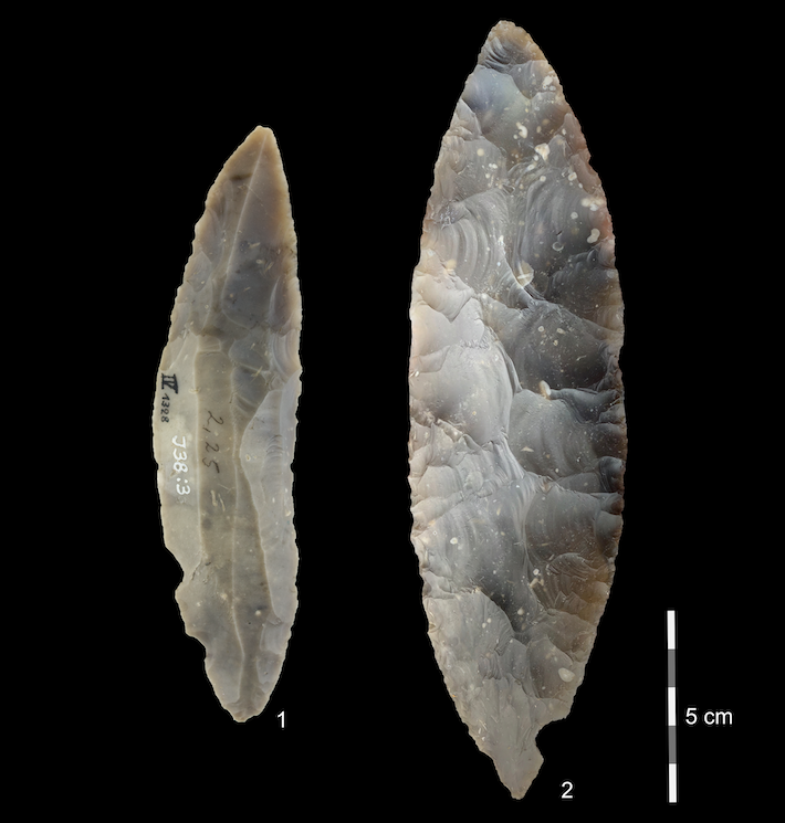 Germany Hominin Stone Tools