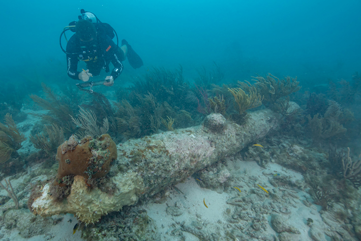 Florida Keys British Cannon