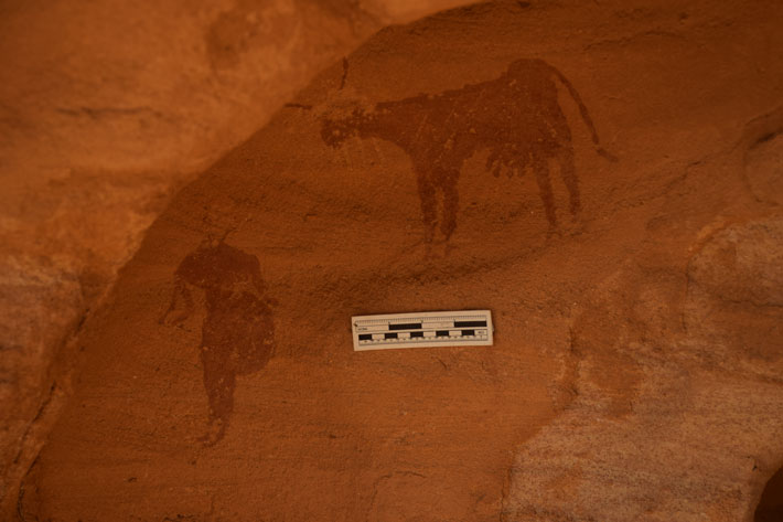 Sudan Cow Human Rock Art