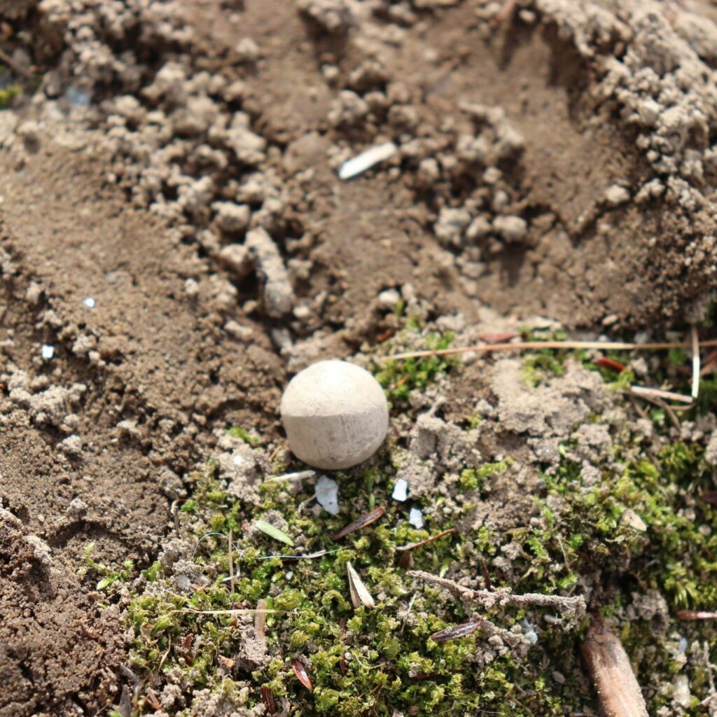 Musket ball, Minute Man National Historical Park, Massachusetts