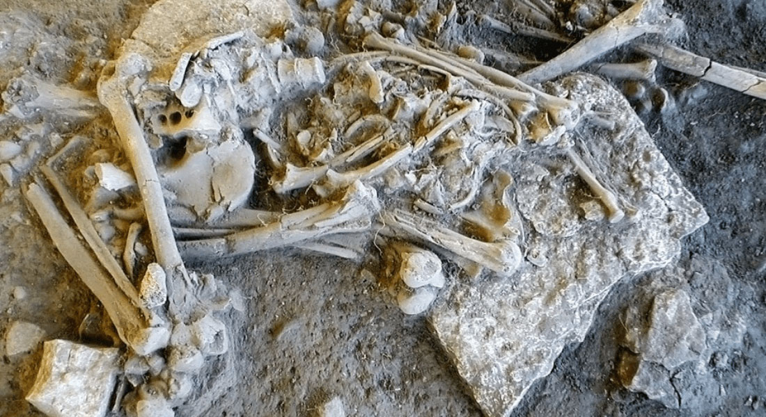 Complete skeleton found in Sweden's Frälsegården passage grave