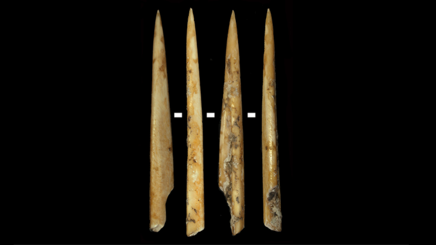 Deer projectile tip, Spain