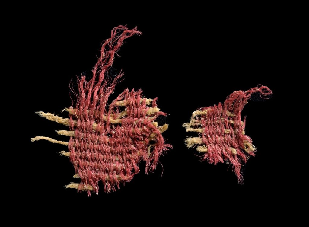 Textile fragments, Israel