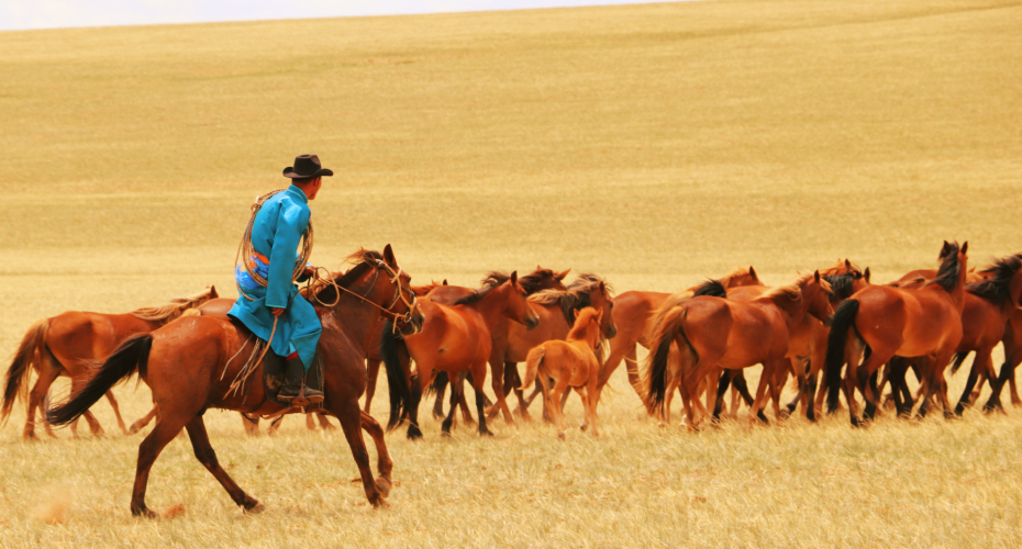 Horse herder in Inner Mongolia, China