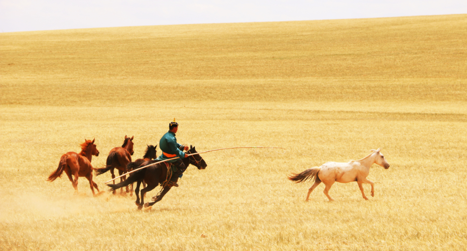 Horse herder in Inner Mongolia, China