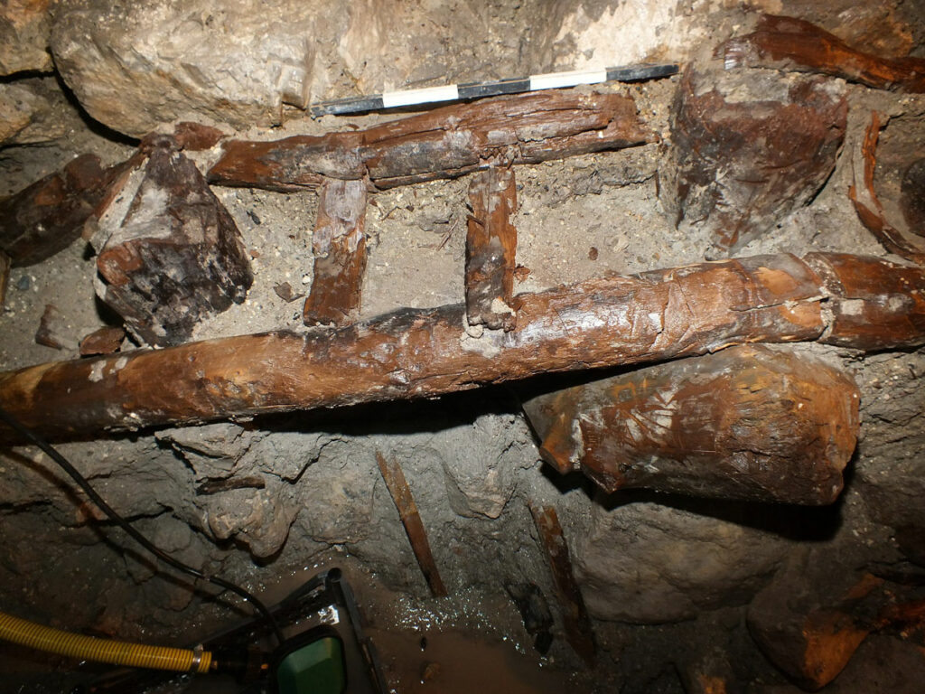 Wood ladder in the spring chamber, Nerik, Turkey