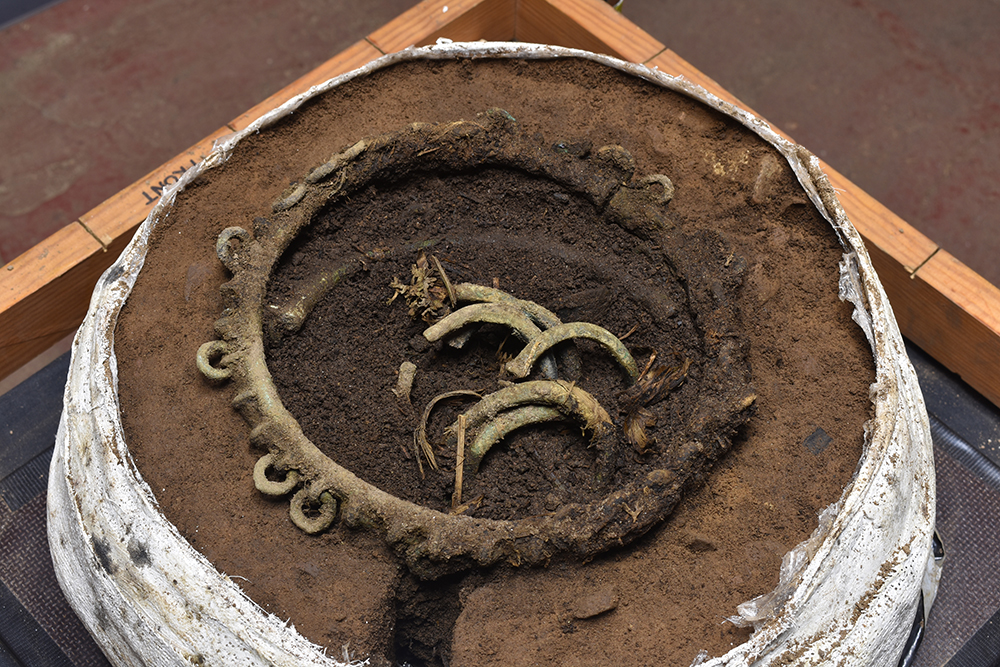 Rosemarkie hoard before excavation in laboratory