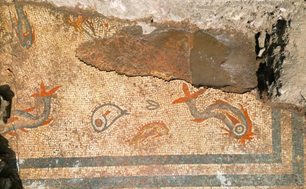 Mosaic with depictions of dolphins and fish at the Roman site of Viriconium