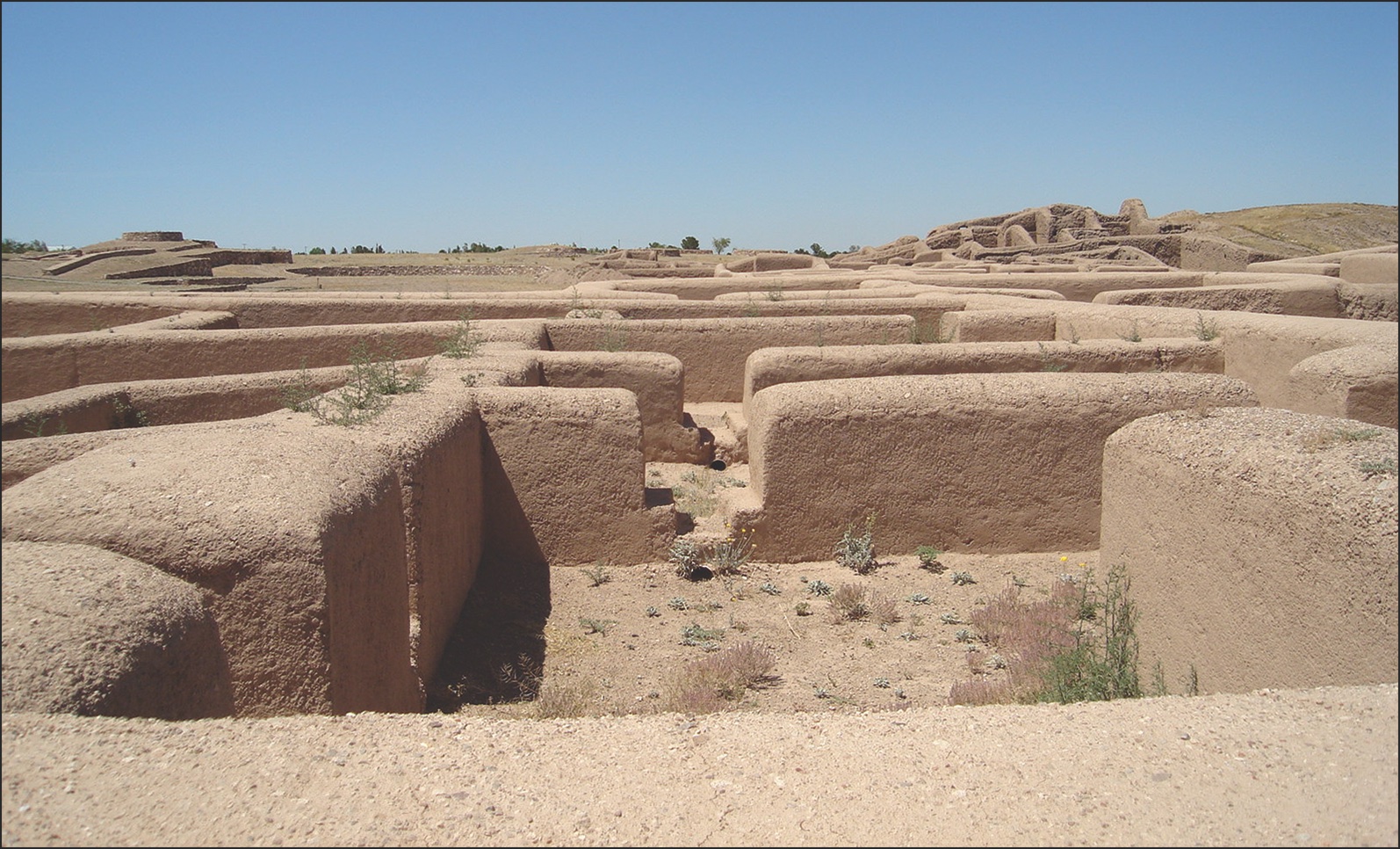 Adobe architecture at Paquimé