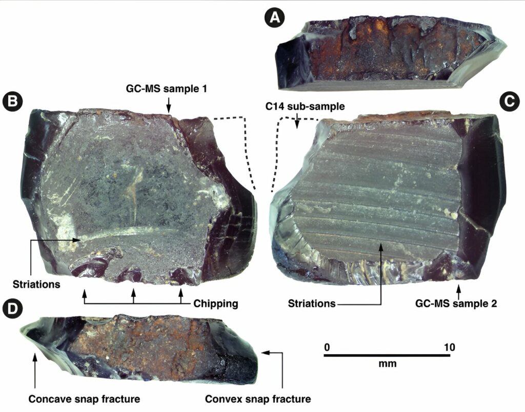 Four views of tree resin artifact