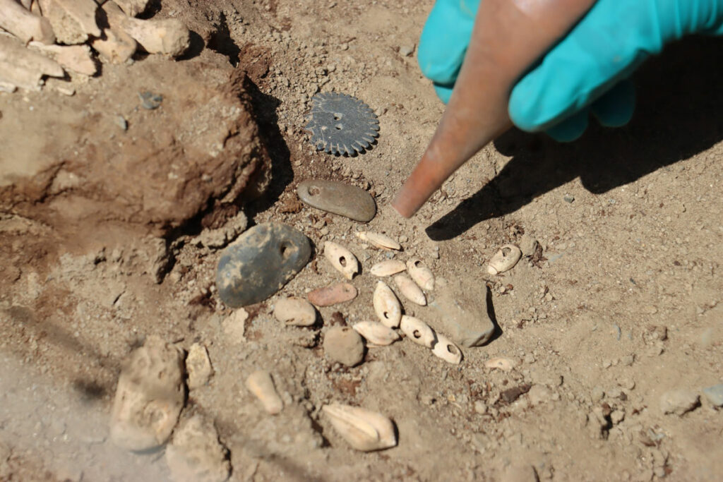 Stone pendants and snail shells