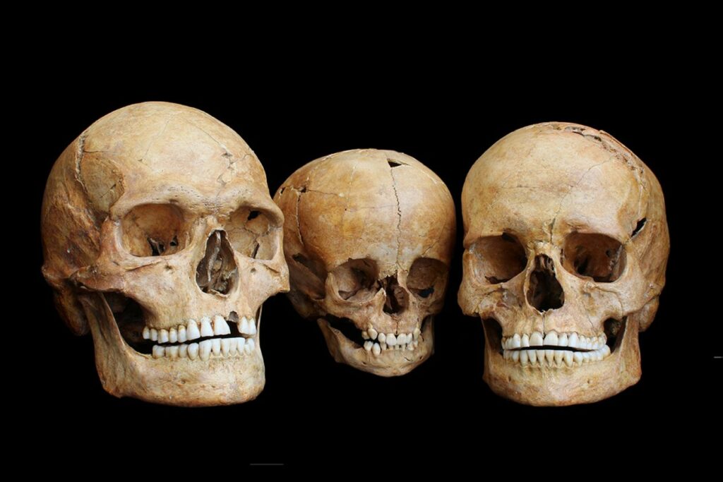 Skulls of a man, a child, and a woman from Germany's Hohlenstein-Stadel cave