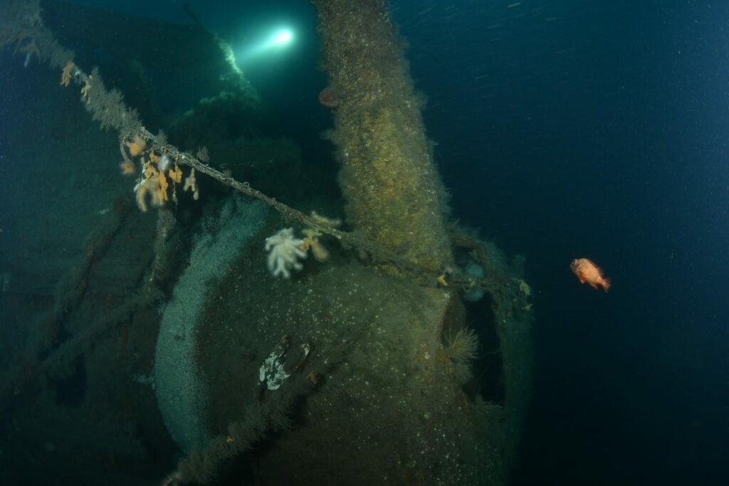 Part of the HMS Hawke wreckage