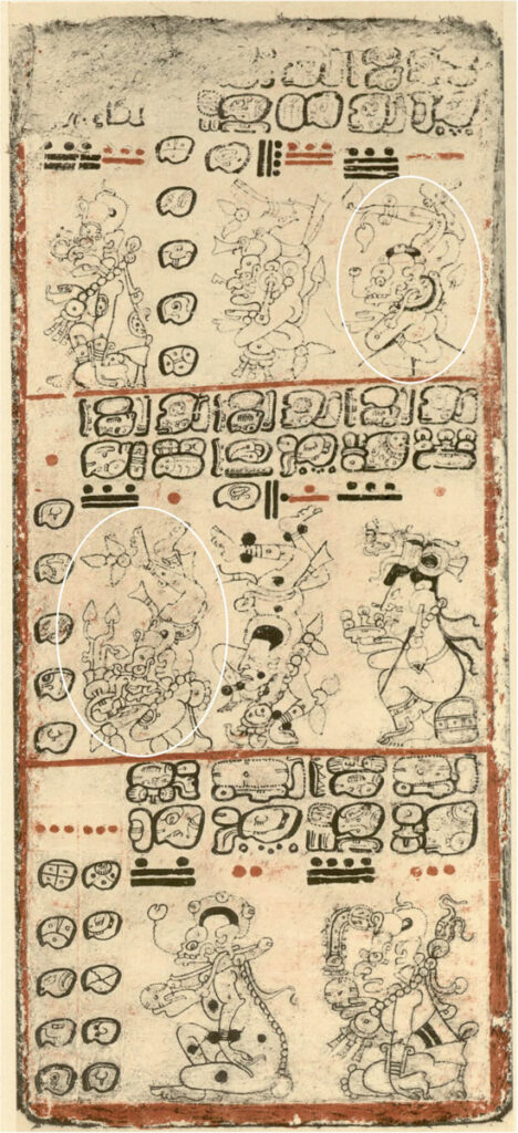 Page of the Dresden Codex