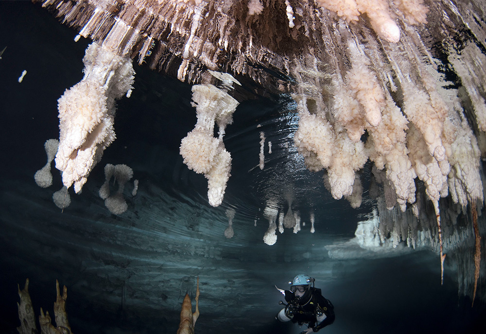 Phreatic overgrowths in Genovesa Cave, Mallorca, Spain