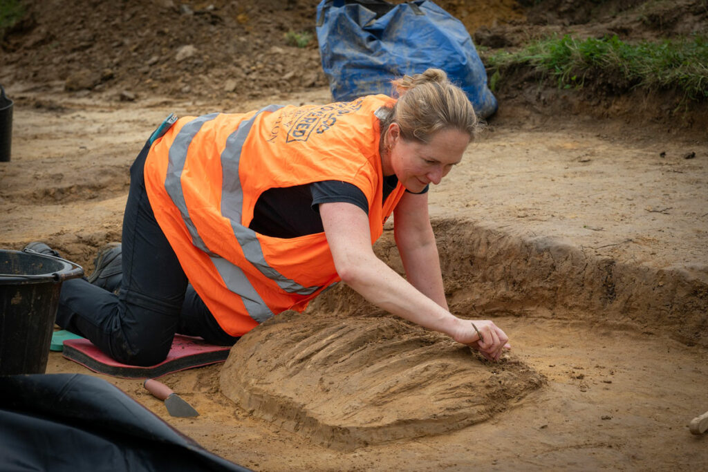 Excavation of a horse skeleton, Mont-Saint-Jean, Belgium