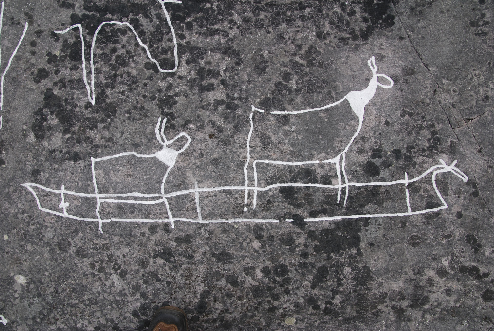 A rock art panel from northern Norway's Alta area depicts a potential skin boat transporting two reindeer