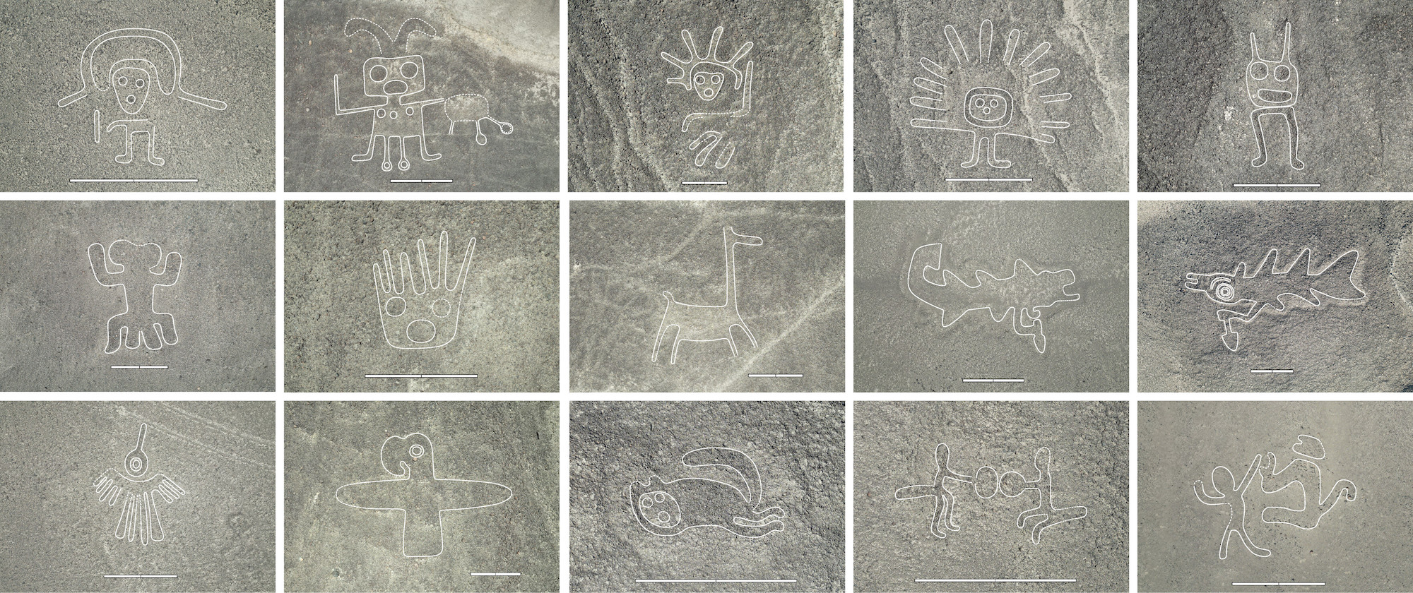 Geoglyphs discovered during AI-assisted survey