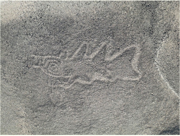 Geoglyph identified by AI-assisted survey