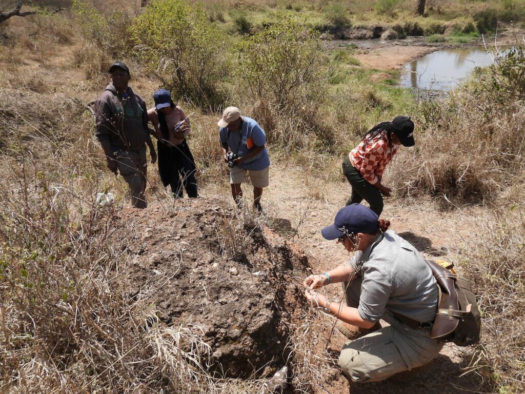 Researchers survey a site in Tanzania's Serengeti National Park