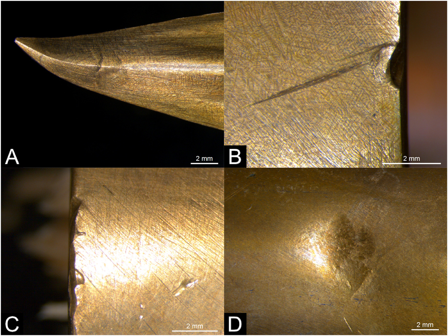 Wear and tear of bronze spearheads during the free spear fighting experiment. (A) Bent tip; (B–C) socket rim damage; (D) round depression