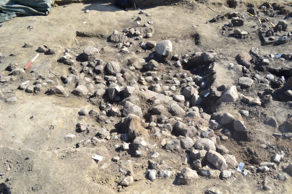 Cellar feature, Nygårdsvej 3 site, Denmark