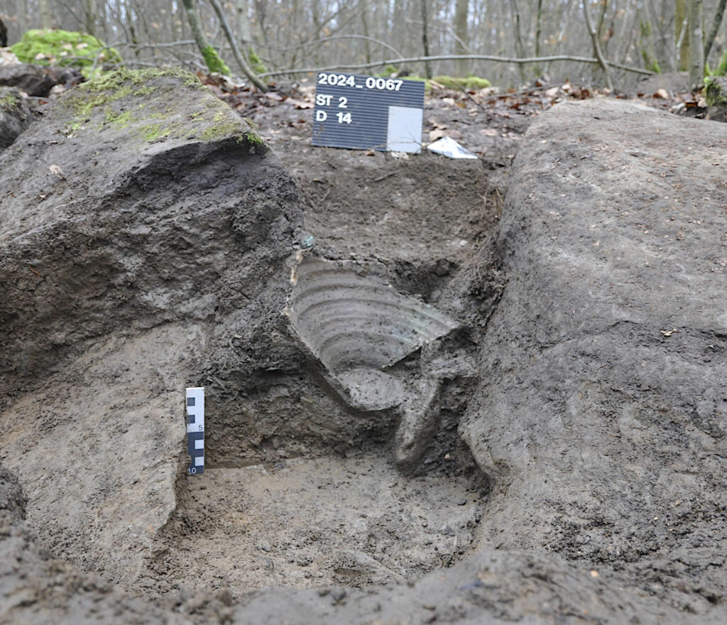 Ceramic vessel in which the coin hoard was buried