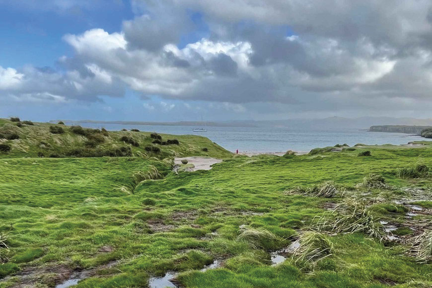 Enderby Island, New Zealand